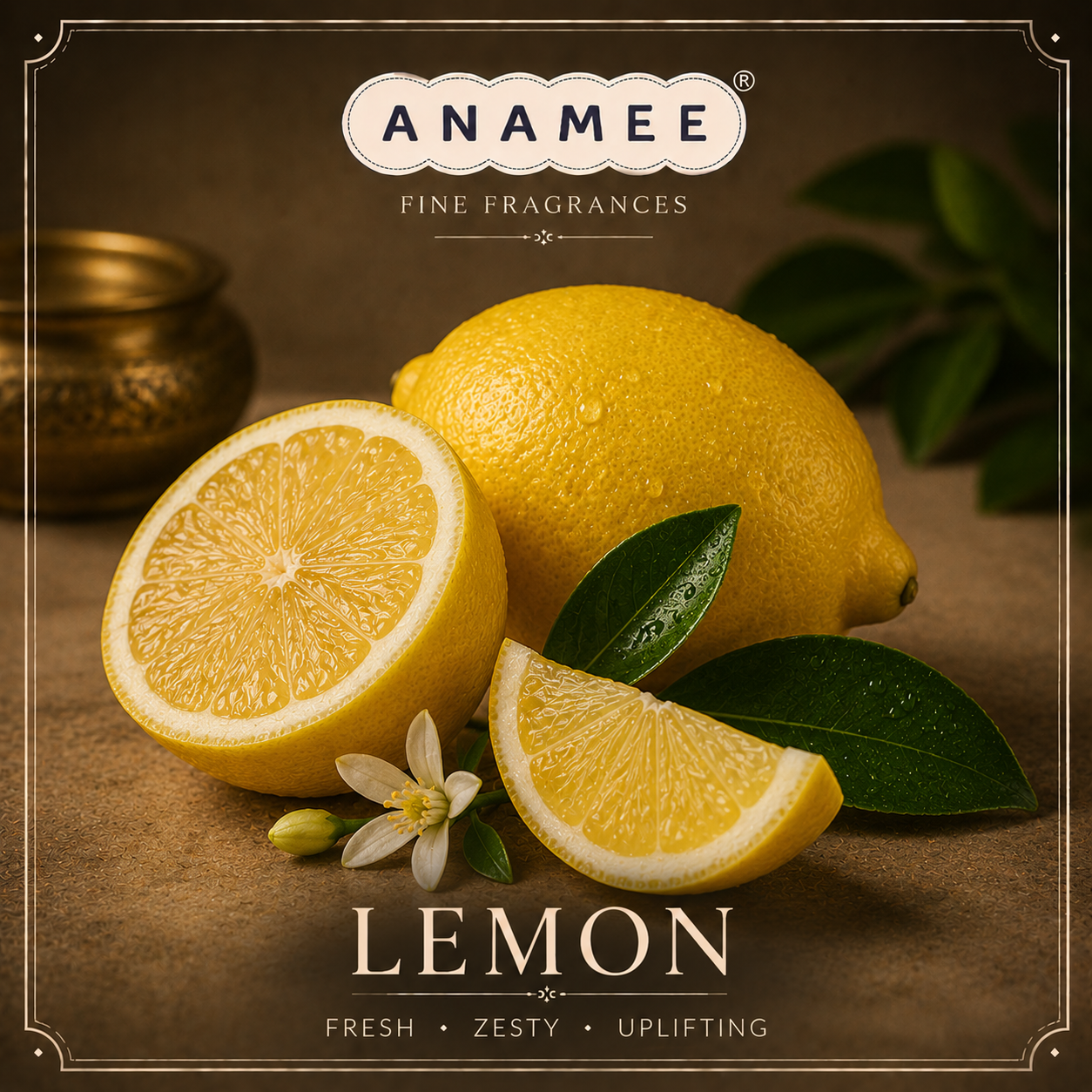 ANAMEE.IN